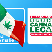 REFERENDUM LEGALIZZAZIONE CANNABIS